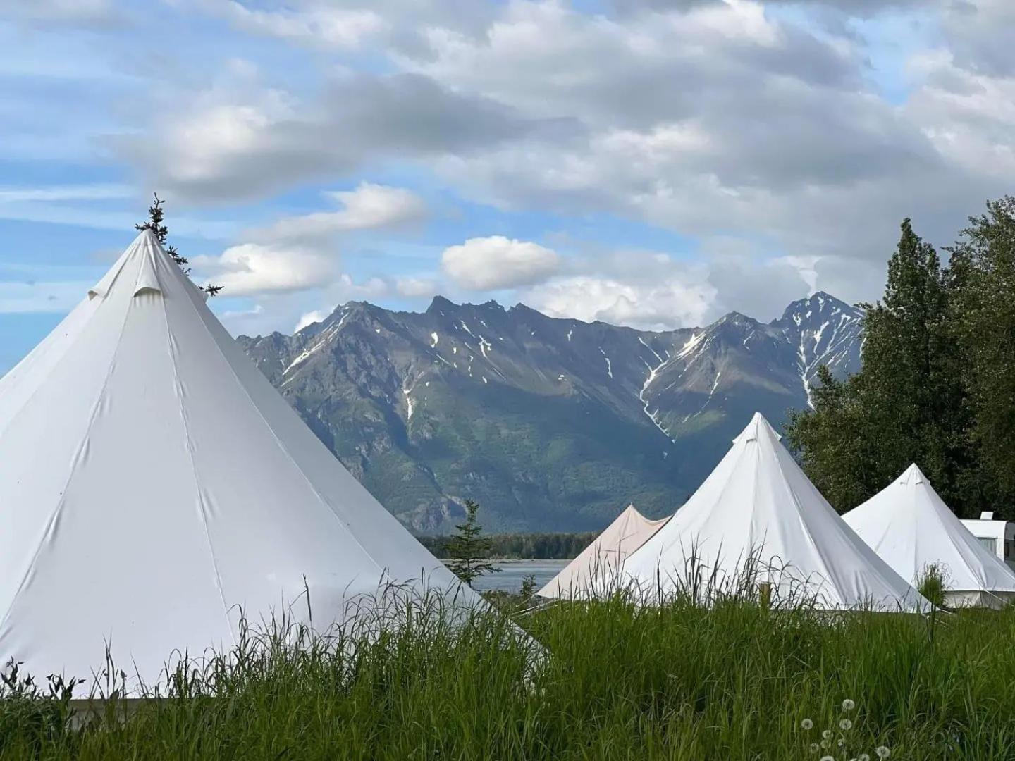 Lulu's Glamping Tents And Events With Exceptional River View * Palmer