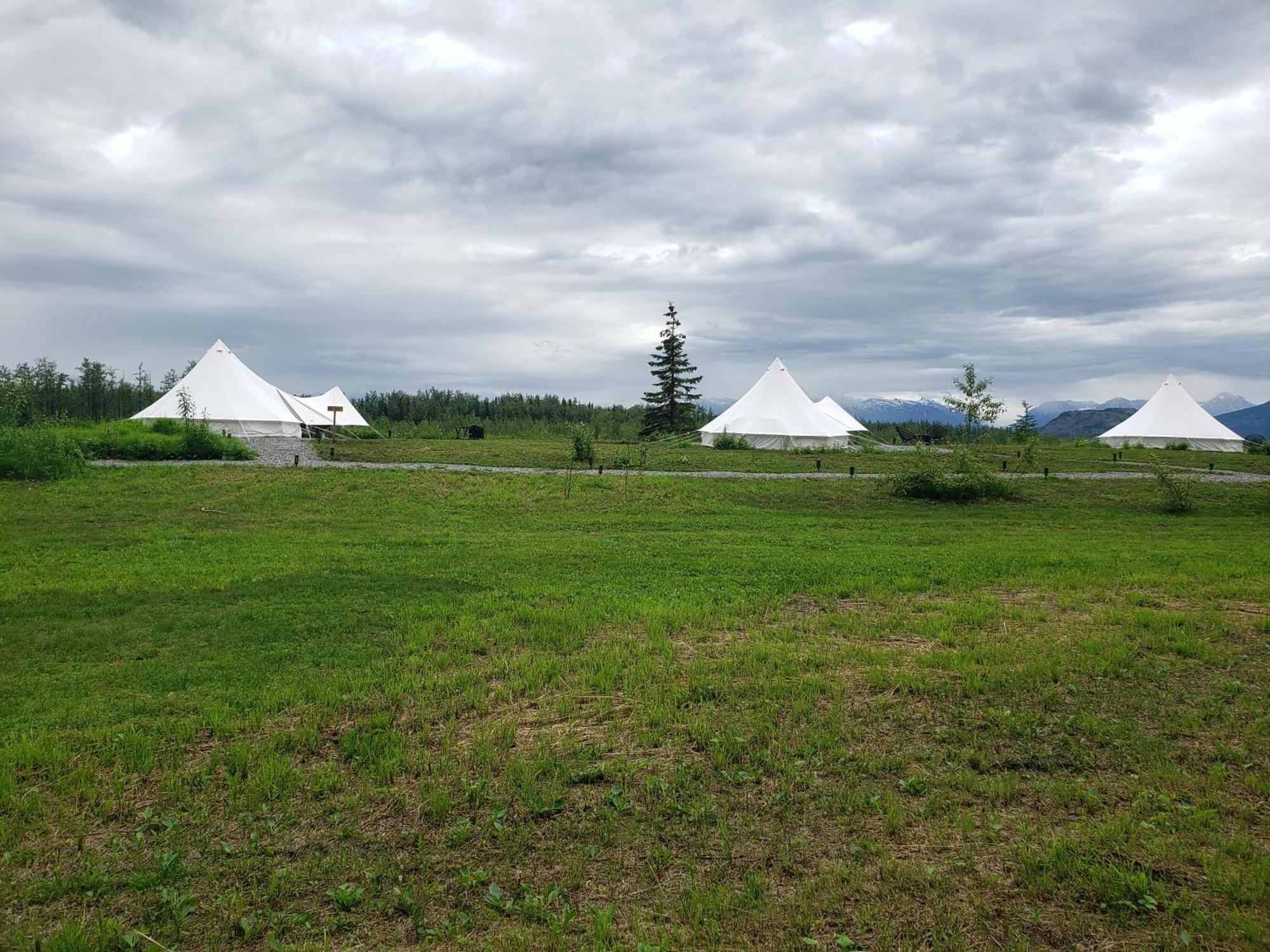 Tente de luxe Lulu's Glamping Tents And Events With Exceptional River View *