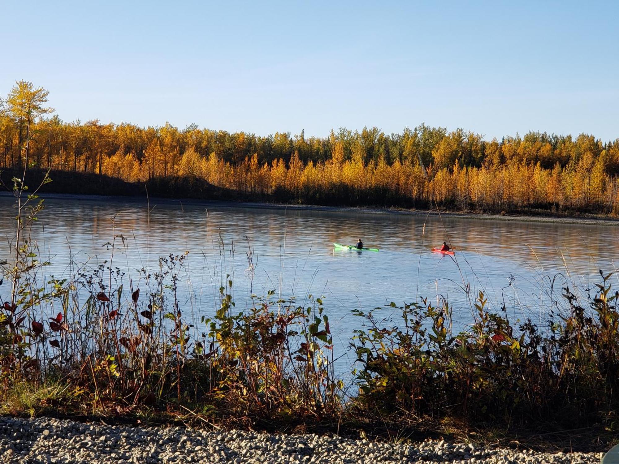 Lulu's Glamping Tents And Events With Exceptional River View * Palmer